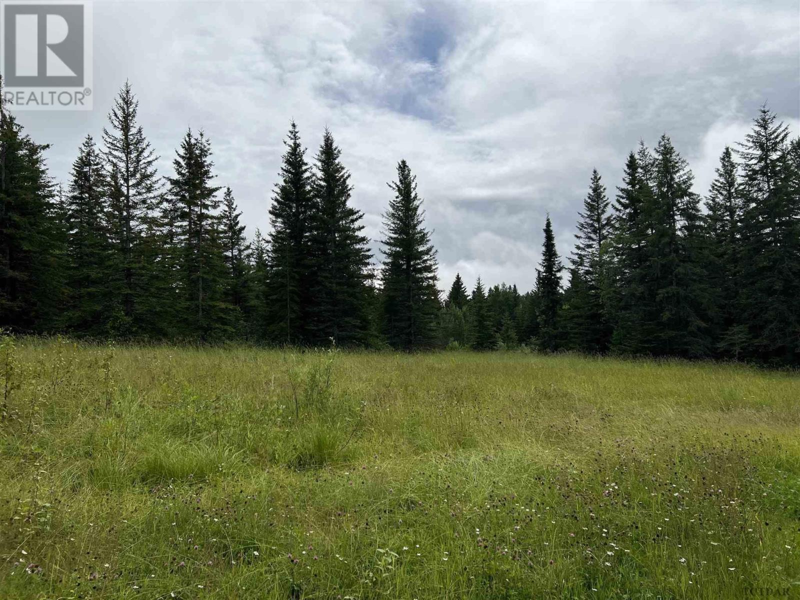 469 Vimy Ridge Rd, For Sale in Black River Matheson Zoocasa