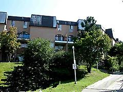 100 Mornelle Crt, Toronto, Ontario, M1E4X2