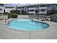 445 All Star Court # 306
