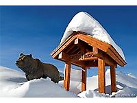 60 Grizzly Ridge Trail # 5