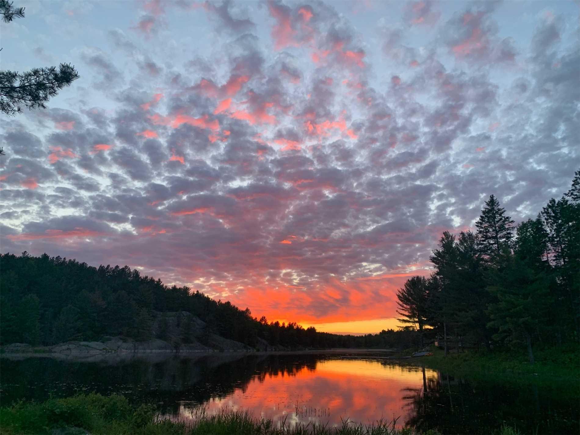 251 Lakeview Dr, Terminated in Alban Zoocasa