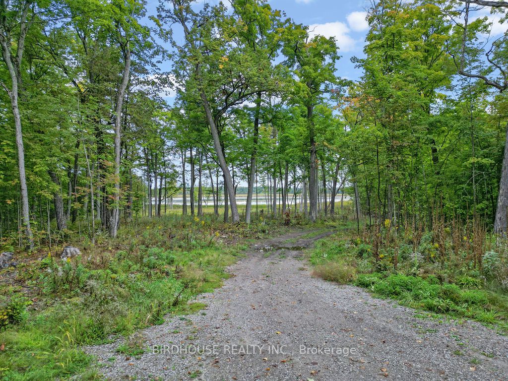 66 Fire Route 71, For Sale in Trent Lakes Zoocasa